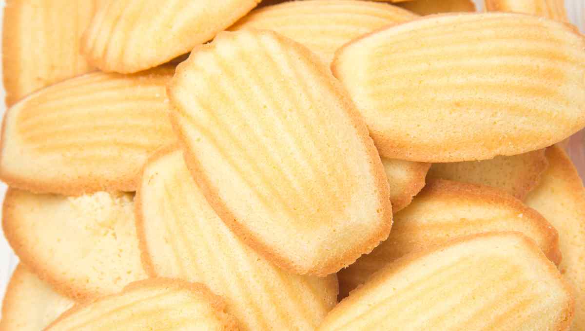 French Madeleines