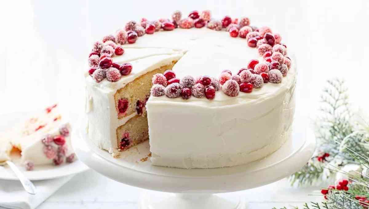 Christmas Cranberry Cake